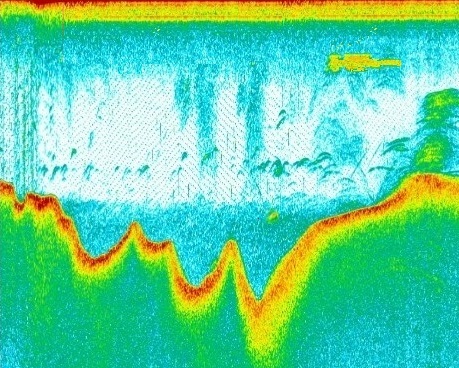 Обнаружение подводного плавца